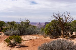20210425CanyonlandsNP049.jpg